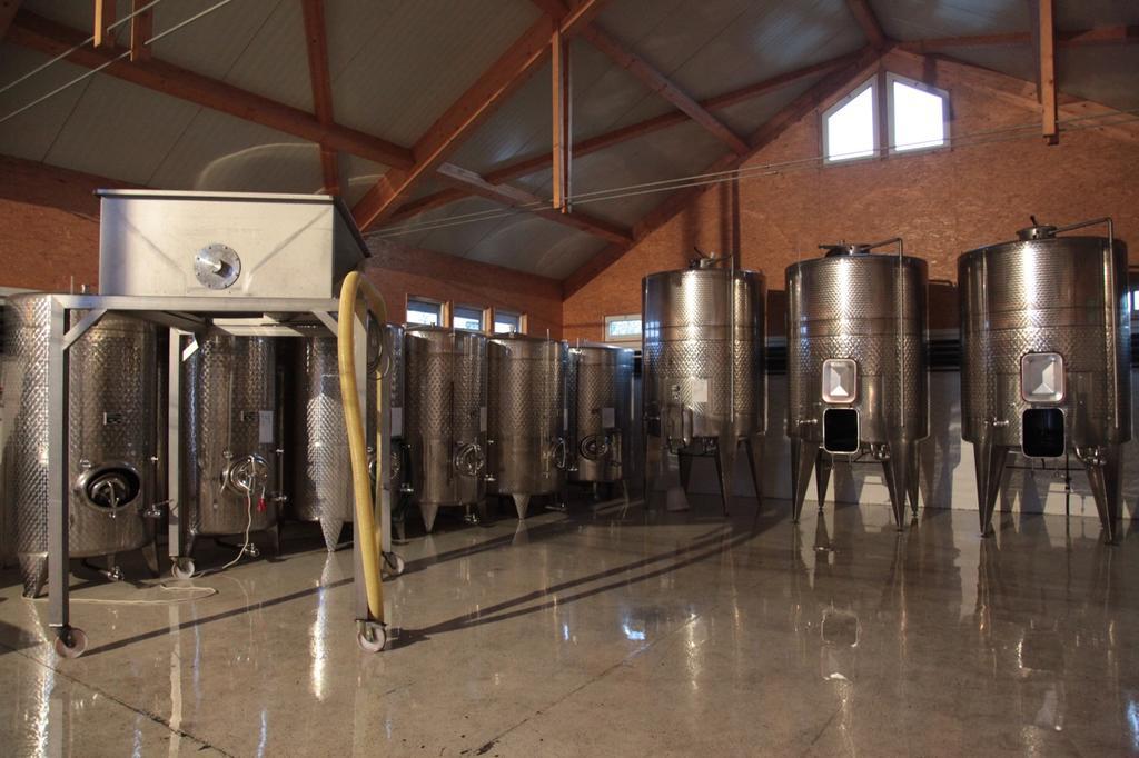 Winzerzimmer - Weingut Tinhof Айзенштадт Екстер'єр фото