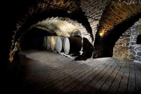 Winzerzimmer - Weingut Tinhof Айзенштадт Екстер'єр фото
