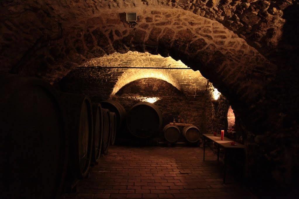 Winzerzimmer - Weingut Tinhof Айзенштадт Екстер'єр фото